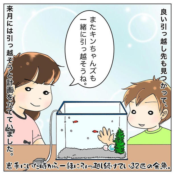 突然の異変は心臓が原因だった, 家族で支えながら無理のない生活を, 経験を漫画にしたことで届いた声, 読者の行動を変えた“気づき”の共有, 「誰かのきっかけになるなら」つらい経験も伝えていく
