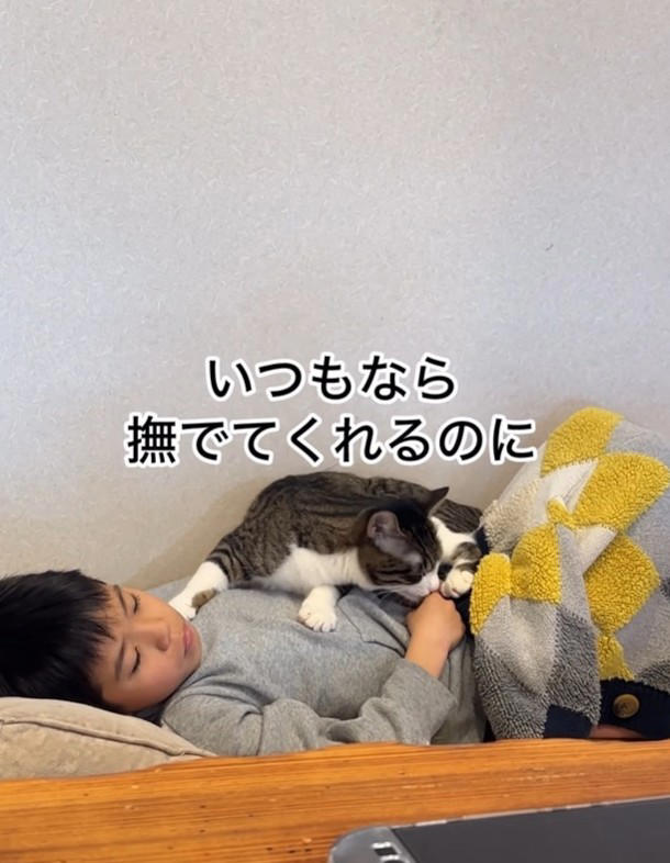 高熱で倒れた息子さんに、そっと近づいた小鼓ちゃん, 「このままでいい」息子さんがぎゅっと抱きしめた理由, 一緒に眠り、気づけば熱も…その後の変化に驚き, 足元にも“見守り隊”　多頭飼いならではの光景, 「動物はわかっている」共感の声が続々