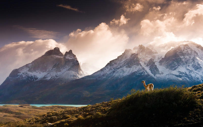 The Greek islands, Chilean Patagonia, Dorset, UK, Bangkok, Thailand, Brecon Beacons, UK, Extremadura, Spain, Kruger Park, South Africa, La France Profonde