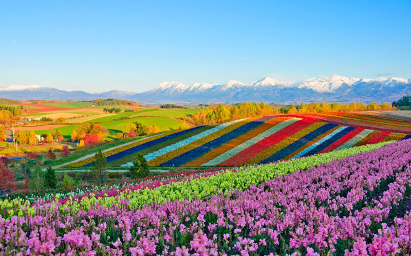 The Greek islands, Chilean Patagonia, Dorset, UK, Bangkok, Thailand, Brecon Beacons, UK, Extremadura, Spain, Kruger Park, South Africa, La France Profonde