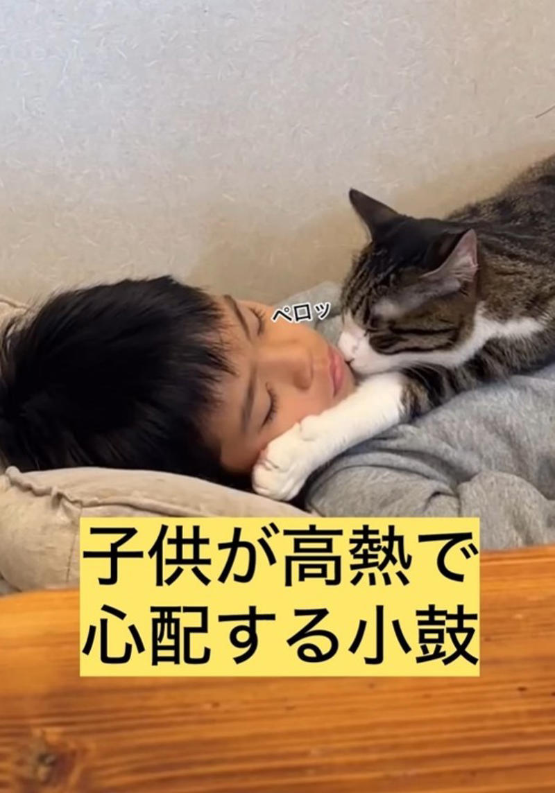 高熱で倒れた息子さんに、そっと近づいた小鼓ちゃん, 「このままでいい」息子さんがぎゅっと抱きしめた理由, 一緒に眠り、気づけば熱も…その後の変化に驚き, 足元にも“見守り隊”　多頭飼いならではの光景, 「動物はわかっている」共感の声が続々