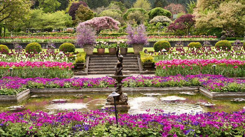 May: Butchart Gardens in Victoria, Canada February: Rapeseed flowers in China, April: Tulips in the Netherlands, May: Butchart Gardens in Victoria, Canada, June: Roses in Portland, Oregon, July: Lavender in Provence, France, October: Wildflowers at Grampians National Park, Australia, November: Sunflowers in Lopburi, Thailand
