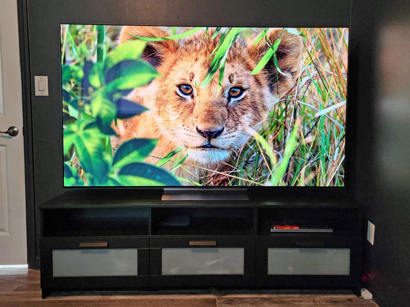 What is a QLED TV?, What is an OLED TV?, QLED vs. OLED: Contrast and black levels, QLED vs. OLED: Brightness, QLED vs. OLED: Color performance, QLED vs. OLED: Viewing angles, QLED vs. OLED: Burn-in, QLED vs OLED: Price, What about RGB LED TVs?, The bottom line