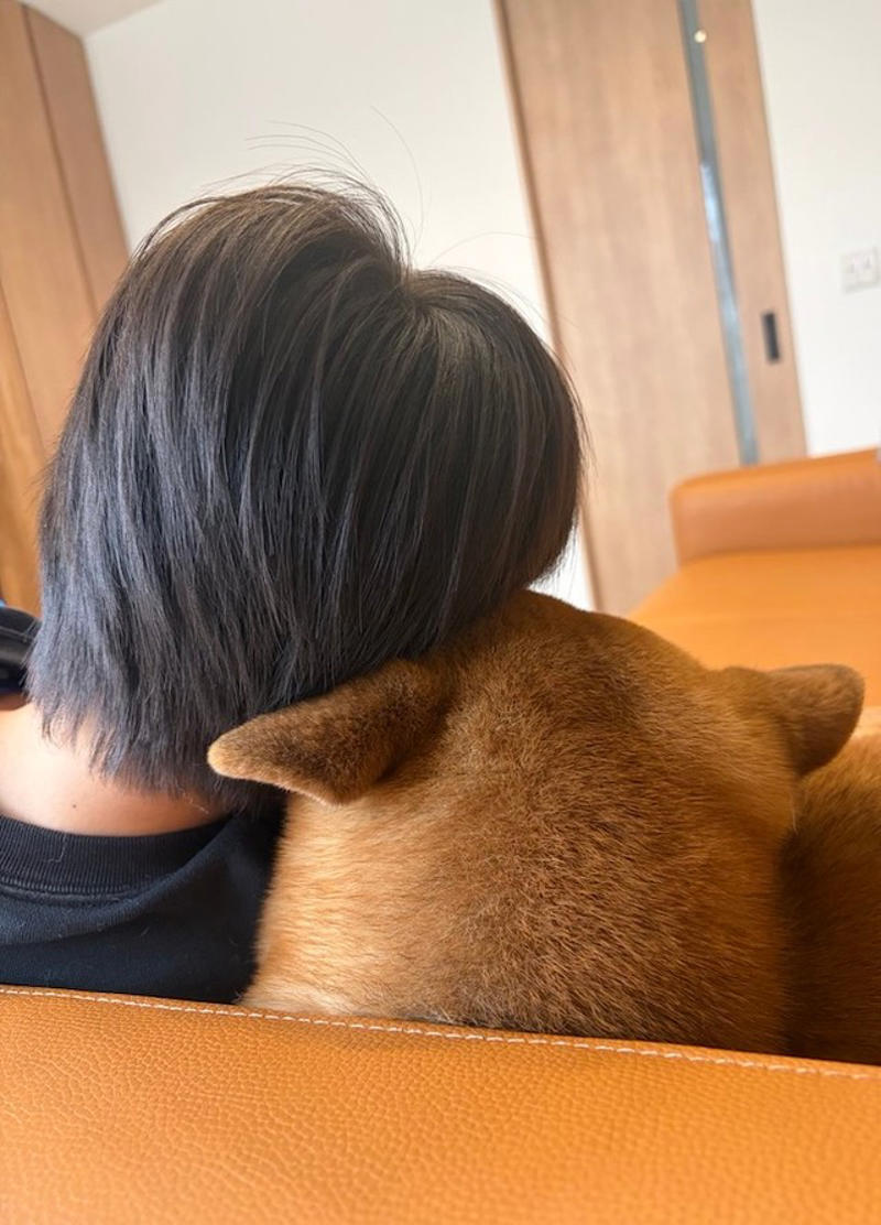 「妊娠したので柴犬を手放したい」, 「子ども」と「犬」が共生するために行った9つの対策, 犬は「匂い」「音」「行動や表情」から状況を理解, 「柴犬らしさ」を尊重できますか？, 犬を「迎えない」という選択肢も愛情