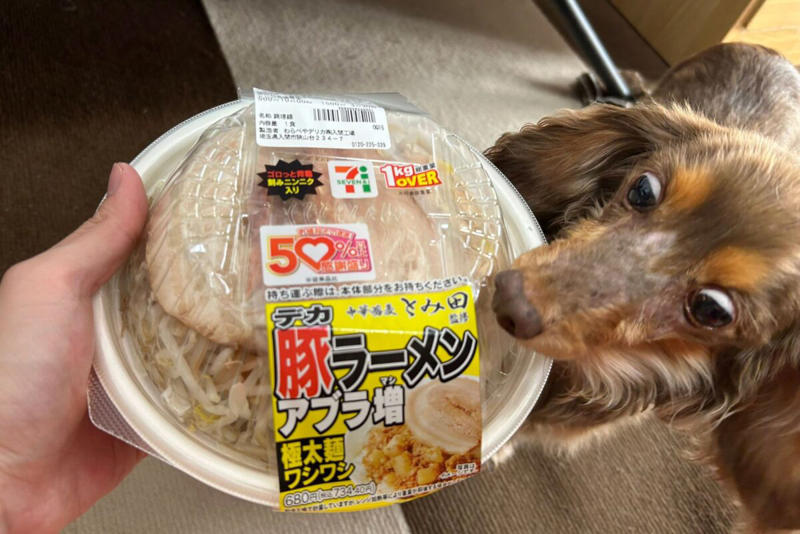 ■「馬鹿のラーメン」と称賛相次ぐ, ■電子レンジの時間が「イカれてる」と話題, ■店頭で温めるなら3分, ■執筆者プロフィール