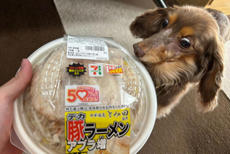 ■「馬鹿のラーメン」と称賛相次ぐ, ■電子レンジの時間が「イカれてる」と話題, ■店頭で温めるなら3分, ■執筆者プロフィール