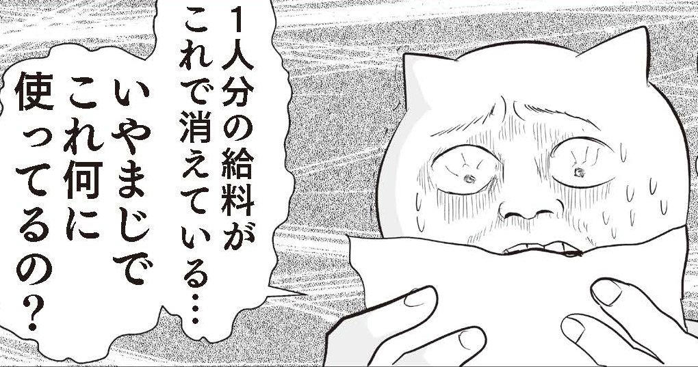 「将来的に1.3億円の負債を抱える」と衝撃の家計診断, 「お金がない」と「片づかない」は全部繋がっている, 「不正請求かも」と疑うくらいお金を使っていた, 設定したハードルは低め。でも少しずつ変化が