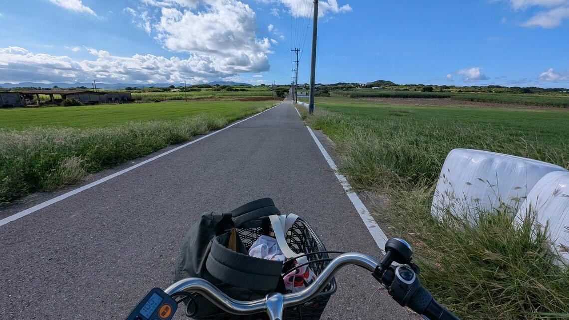 そもそもSFCとは, 世界一周航空券を足場に修行, 楽天ブラックカードからも招待状, 優雅ではないラウンジ, プライオリティ・パスの魅力, あるべき姿に戻ったSFC