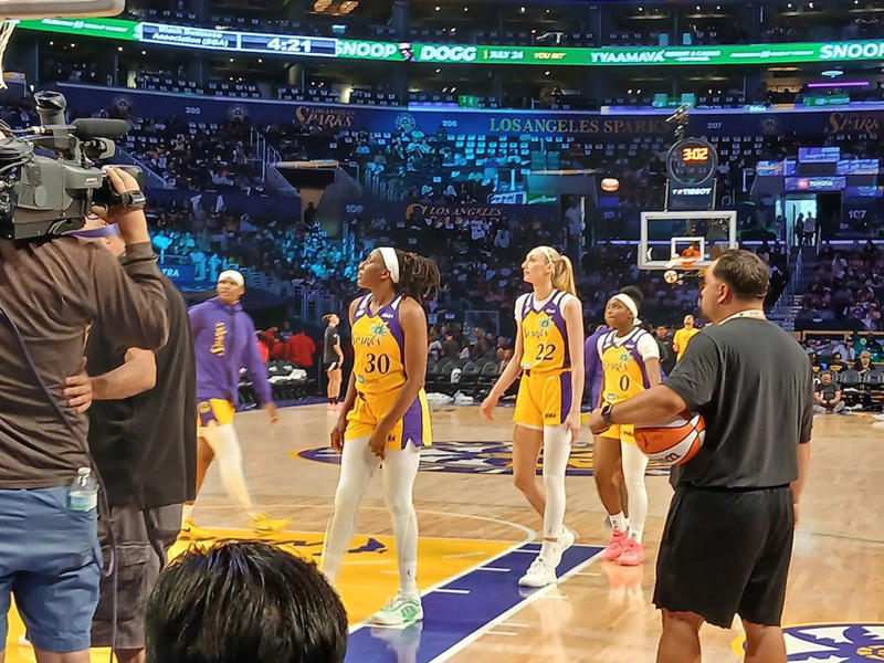 WNBAのスター、ケイトリン・クラーク, 闘争心の塊、五輪金メダリストのケルシー・プラム, 迫力のブロックで観客を沸かせるキャメロン・ブリンク, 苦汁を味わってきた外国人選手、ジュリー・ヴァンルー, プラムが年俸をあえて100万ドル以下に抑えた意図