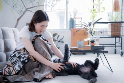 犬に「居心地がいい」と思われやすい飼い主の特徴5つ, 1.声のトーンと動きが落ち着いている, 2.ルールが一貫していて分かりやすい, 3.距離感が上手で、犬のサインを尊重する, 4.日常のリズムを整えてくれる, 5.できたことを見つけて褒めるのが上手, 愛犬にもっと好かれるために今日からできること