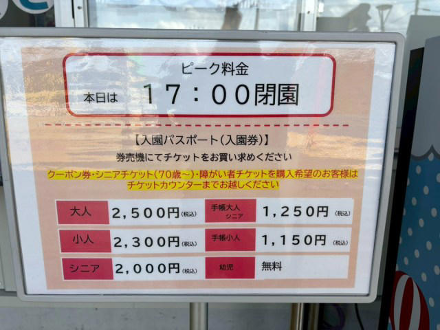 ・外観からすでにベビースター世界, ・大人も普通に本気になる, ・オリジナルベビースター作りが楽しい, ・ピンクのピザが想像以上にちゃんとしてる, ・ブタメンパラダイスを思い出す, ・気づけば6時間以上滞在, ・今回訪れた店舗の詳細