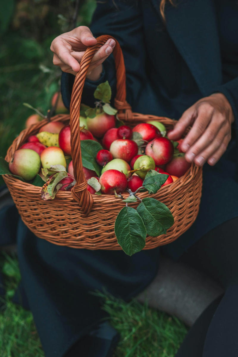 Apple: Apples may be coated with wax to enhance shine and prolong shelf life. Wash with warm water and rub thoroughly before eating.