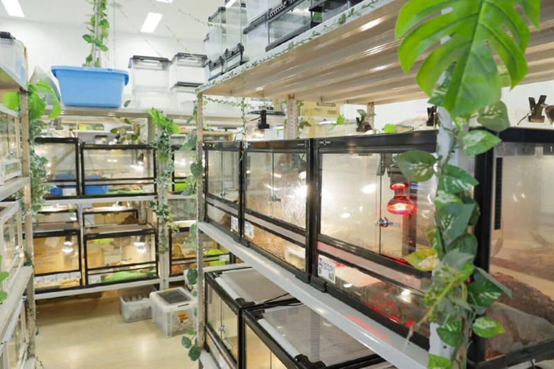 ■落とし物はまさかの「大トカゲ」, ■「レッドテグー」ってどんなトカゲ？, ■発見当日は「トカゲに過酷な環境」, ■「飼い主」を名乗る人物が続出か, ■執筆者プロフィール