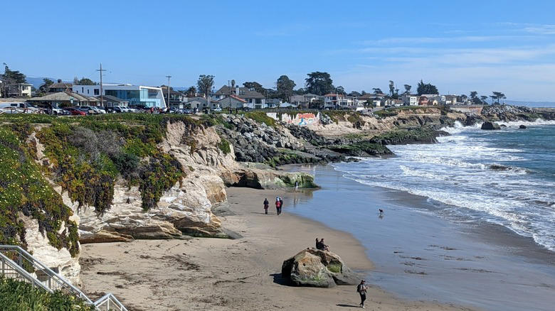Steamer Lane, Cowell Beach, Pleasure Point, Natural Bridges, Mitchell's Cove