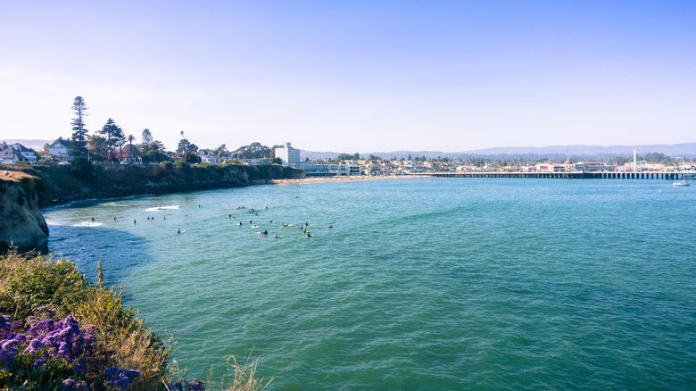 Steamer Lane, Cowell Beach, Pleasure Point, Natural Bridges, Mitchell's Cove