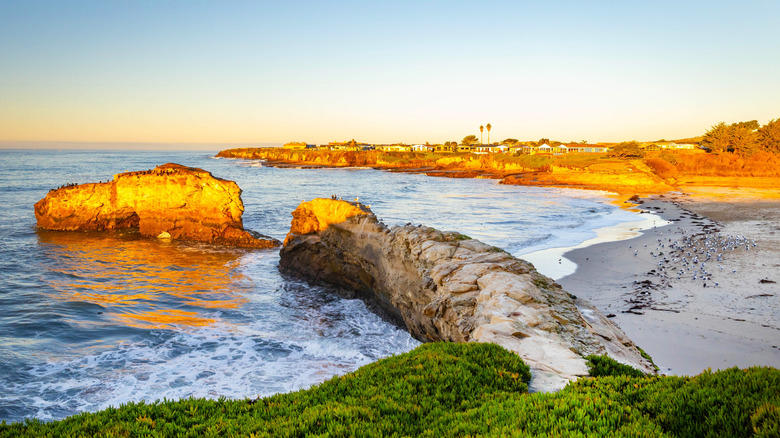 Steamer Lane, Cowell Beach, Pleasure Point, Natural Bridges, Mitchell's Cove