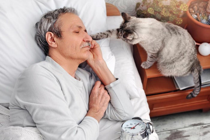 猫の「困るけど憎めない行動」5選, 1.深夜の運動会, 2.キーボードの上に乗る, 3.ものを棚から落とす, 4.早朝の叩き起こし, 5.爪とぎの場所間違い, なぜ困ることをするの？無邪気な仕草の裏にある理由, 叱るのは逆効果？上手な接し方と対策のコツ, 遊びで満足させる, どうしても困る時の便利グッズ
