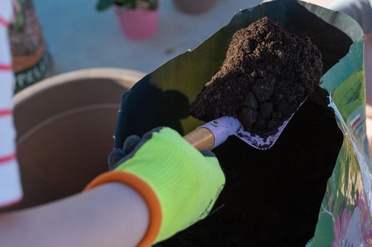 Quick-Growing Seedlings, Pre-Potted Planters, Flimsy Plastic Pots, Oversized Plants, Gimmicky Garden Tools, Small Bags of Compost, Specialty Soil Mixes