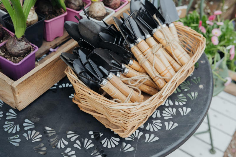 Quick-Growing Seedlings, Pre-Potted Planters, Flimsy Plastic Pots, Oversized Plants, Gimmicky Garden Tools, Small Bags of Compost, Specialty Soil Mixes