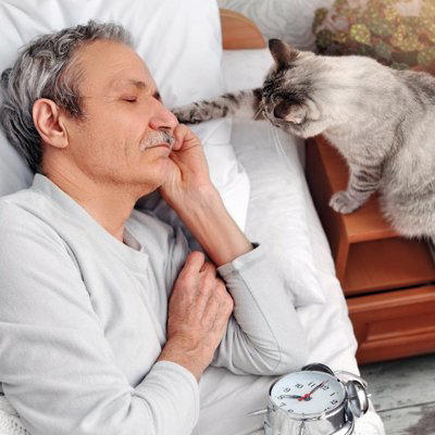 猫の「困るけど憎めない行動」5選, 1.深夜の運動会, 2.キーボードの上に乗る, 3.ものを棚から落とす, 4.早朝の叩き起こし, 5.爪とぎの場所間違い, なぜ困ることをするの？無邪気な仕草の裏にある理由, 叱るのは逆効果？上手な接し方と対策のコツ, 遊びで満足させる, どうしても困る時の便利グッズ