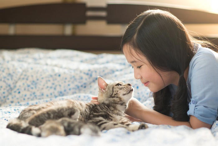 猫が飼い主を『守っている』ように見える行動5つ, 1.ドアや窓の近くで見張る, 2.トイレやお風呂についてくる, 3.体の上や近くで寝る, 4.知らない音にすぐ反応する, 5.体調が悪いときにそばにいる, 猫が飼い主を気にかける理由, 猫の行動への上手な応え方