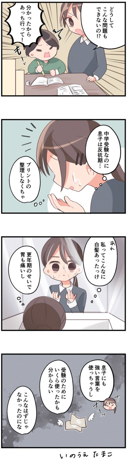 鏡に映る別人…加速する老化と心身の揺らぎ, 胃は痛むのに痩せない——理不尽すぎる身体の反応, 反抗期とぶつかる日々「こんな言い方をする自分だったのか」, 気づけば無限課金状態——見えなくなる受験費用, 揺らぎの中で残ったもの——終わって初めて気づくこと