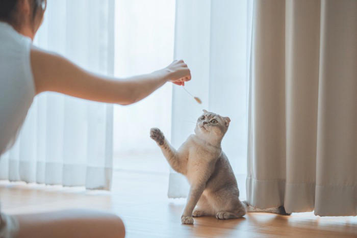 おもちゃにしてはいけない物3つ, 2.ビニール袋や紙袋, 3.乾電池や鈴など小さな物, 知らないと怖いリスク, パニック・呼吸困難, トラブル時の対処法, 無理に吐かせない