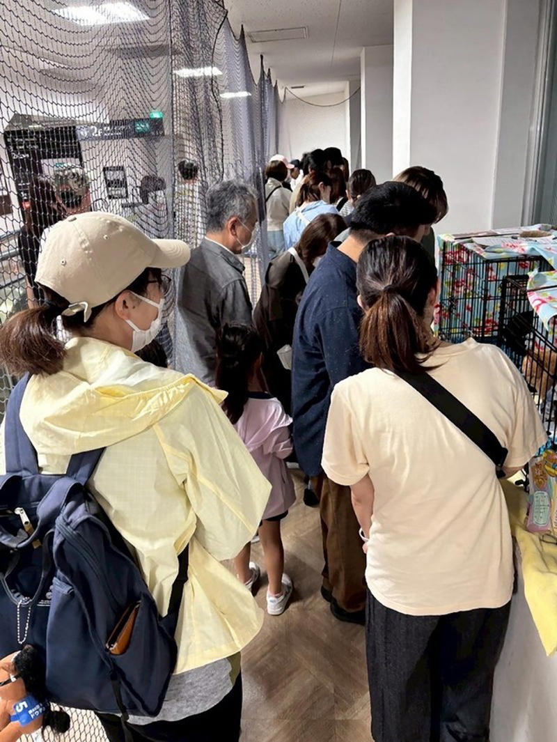 年間140匹を新しい家族のもとへ, 「里親詐欺」で奪われた命…犯人を追い詰めた執念と消えない悔しさ, 20代のボランティアスタッフたちが進める「20代プロジェクト」, ペットを飼う人がいる限りこの活動はなくならない