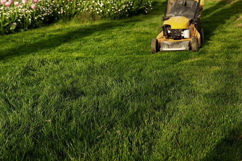 Benefits Of Leaving Grass Clippings On The Lawn, Using Grass Clippings As Mulch, Composting Grass Clippings, Other Uses For Grass Clippings, Proper Disposal Of Grass Clippings