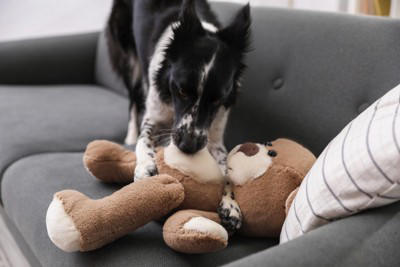 犬が『楽しくない』ときにみせる態度や行動5選, 1.大きく短いため息をつく, 2.飼い主をジッと見つめる, 3.イタズラをする, 4.名前を呼んでも無視する, 5.体の一部を過剰に舐める, 愛犬がつまらなそう…満足させる方法とは？