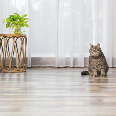 猫を飼っている家を訪問するときのマナー3つ, 1.ドアの開閉に気をつける, 2.手土産は猫の害にならないものを, 3.強い香りのするものは避ける, 猫を飼っている家を訪問するときのNG行為