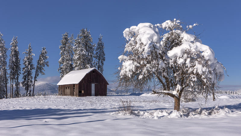 Idaho 49. Massachusetts, 48. New Jersey, 47. Hawaii, 46. California, 44. Washington, 43. Connecticut, 42. Colorado, 41. Utah, 39. Alaska, 38. Minnesota, 37. Rhode Island, 36. New York, 34. Illinois, 33. Oregon, 32. Vermont, 31. Arizona, 29. Pennsylvania, 28. North Dakota, 27. Wisconsin, 26. Nevada, 24. Wyoming, 23. Georgia, 22. Idaho, 21. Iowa, 19. South Dakota, 18. Maine, 17. Florida, 16. Michigan, 14. Montana, 13. North Carolina, 12. Ohio, 11. Missouri, 9. South Carolina, 8. Oklahoma, 7. Kentucky, 6. New Mexico, 4. Louisiana, 3. Arkansas, 2. West Virginia
