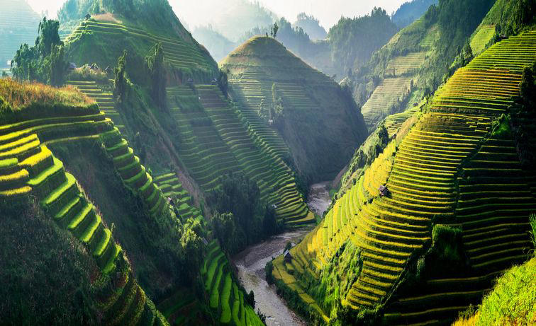Vietnam Australia, Seychelles, South Africa, Indonesia, Argentina, Philippines, United Kingdom, Colombia, Tanzania, United States, Thailand, Switzerland