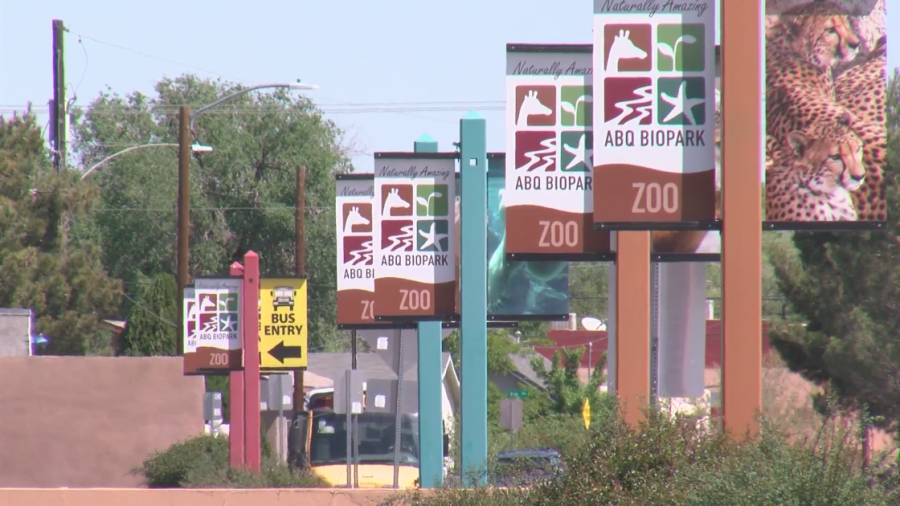 Visit the Petroglyph National Monument, Take a stroll through Old Town, Ride the tram, Grab lunch and go shopping in Nob Hill, Browse through a museum or two, Check out some local art, Hike the Sandias, Stop by the BioPark, Stroll through the Bosque