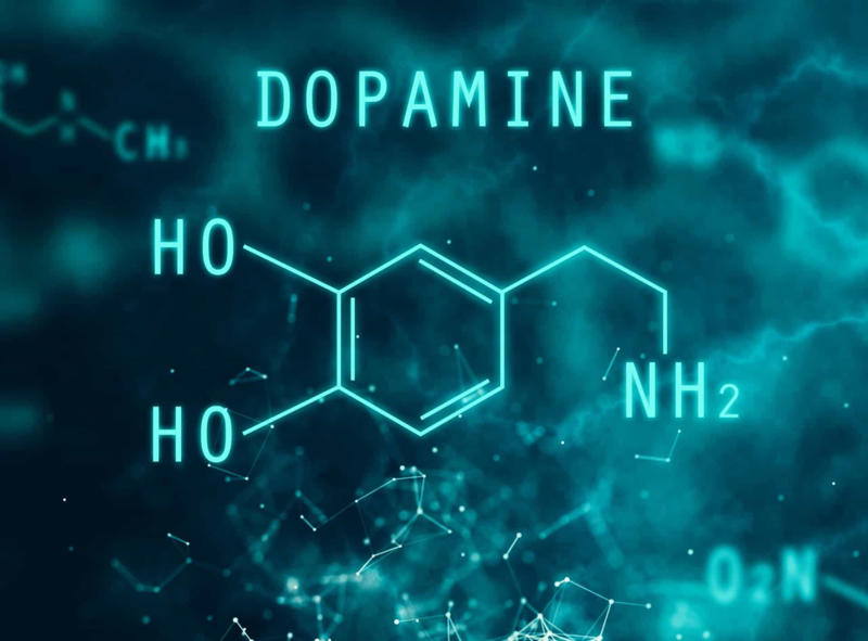 What is dopamine? What is dopamine?, Who's affected?, What are the symptoms?, Psychological symptoms, Living with Parkinson's disease, Physiotherapy, Mobility aids and assistance, Keep a Parkinson's diary, Specialist care, Relationships and support, Daily support, Get active, Help them feel normalcy