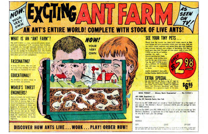 Uncle Milton's Ant Farm The most popular items from the decade, Braun T3, Yardley Oh! de London, Remington Lektronic, Sony Triniton KV-1210, Kodak Instamatic 104, Sunbeam Mixmaster, Pifco Princess, Black & Decker U-100, West Bend Flavo-matic, Chinese Girl by Vladimir Tretchikoff, Troll Dolls, Hoover Dial-A-Matic, Western Electric Model 500, Uncle Milton's Ant Farm, General Electric Automatic Toothbrush, Chatty Cathy, Etch-a-Sketch