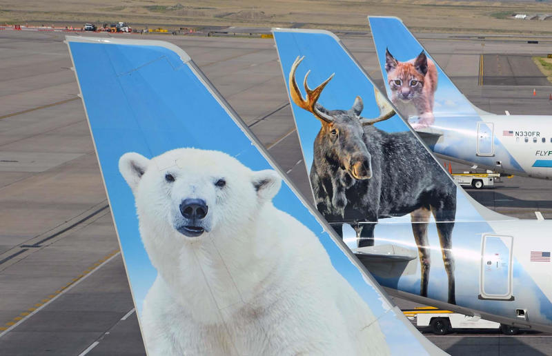 This logo belongs to… Find out how well you know your logos, This logo belongs to…, Alaska Airlines, United Airlines, Air Canada, Frontier Airlines, British Airways, American Airlines, Air France, Southwest Airlines, Delta Air Lines, Lufthansa, Singapore Airlines, Thai Airways
