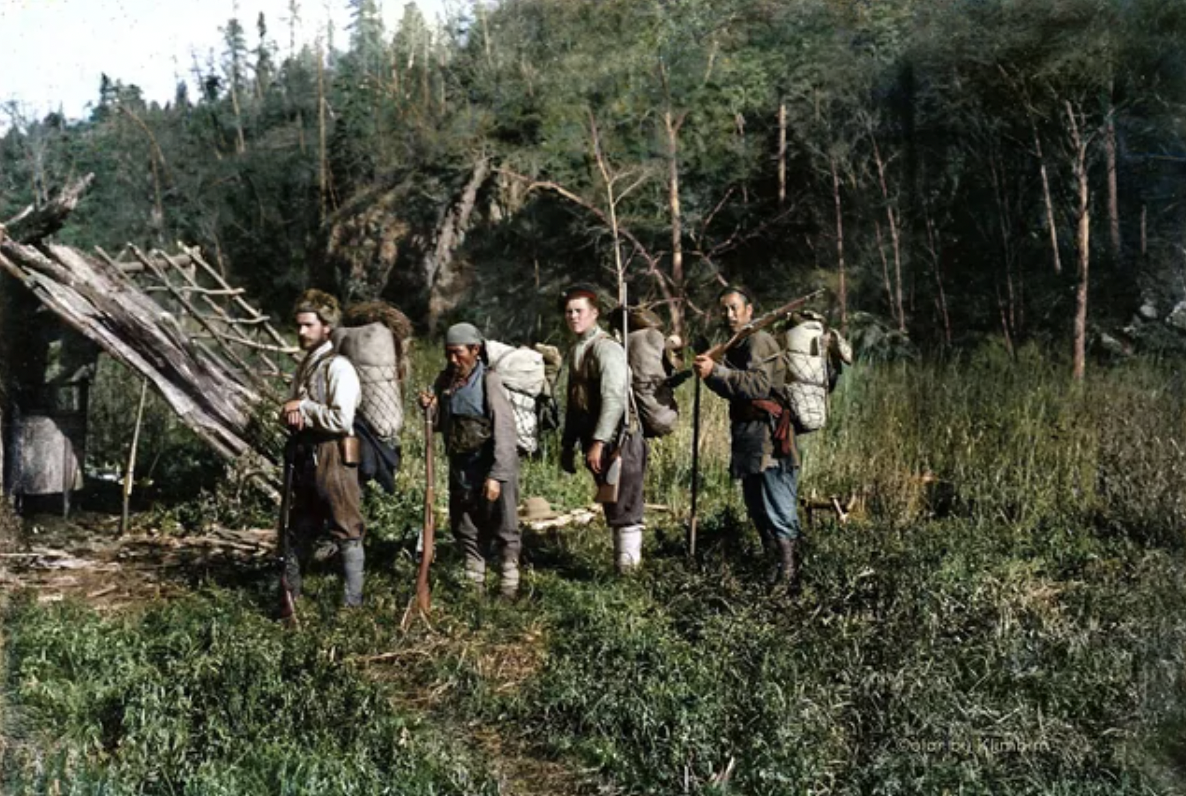 wilderness