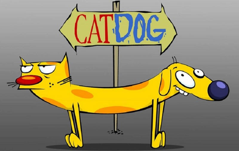 Cat/Dog Jem and the Holograms, Motoko Kusanagi, Lupin III, Kim Possible, Philip J. Fry, Doraemon, Dash Kappei, Yakko, Wakko and Dot, Edward Elric, April O'Neil, Mikki and Yuu, Ash and Pikachu, Beetlejuice, Koro-Sensei, SpongeBob SquarePants, Bugs Bunny, Candice Candy White, Captain Planet, Carmen Sandiego, Road Runner and Wile E. Coyote, Shinichi Kudo, Family Guy, The Flintstones, Galaxy Rangers, Gargoyles, Harlem Globetrotters, Homer Simpson, Jessica Rabbit, The Jetsons, Justice League, Yumeko Jabami, Light and Ryuk, Yakko and Miko, Muppet Babies, Oliver Atom, Monkey D. Luffy, Uncle Scrooge, Ranma and Akane, The Real Ghostbusters, Scooby Doo, Sherlock Holmes, Superman, The Powerpuff Girls, Tiny Toons Adventures, Optimus Prime, Yogi and Boo-boo, Alita: Battle ANgel, Beavis and Butt-head, Courage the Cowardly dog, Fanboy and Chum Chum, Finn (The Human), Son Gokuh, Cosmo and Wanda, Huckleberry Hound, Jimmy Neutron, Johnny Test, Penguins of Madagascar, Marsupilami, Mazinger Z, Mickey Mouse, Peppa Pig, The Pink Panther, PinkFong, Raponchi the frog, Ren and Stimpy, Shin Chan, Sam, Clover and Alex