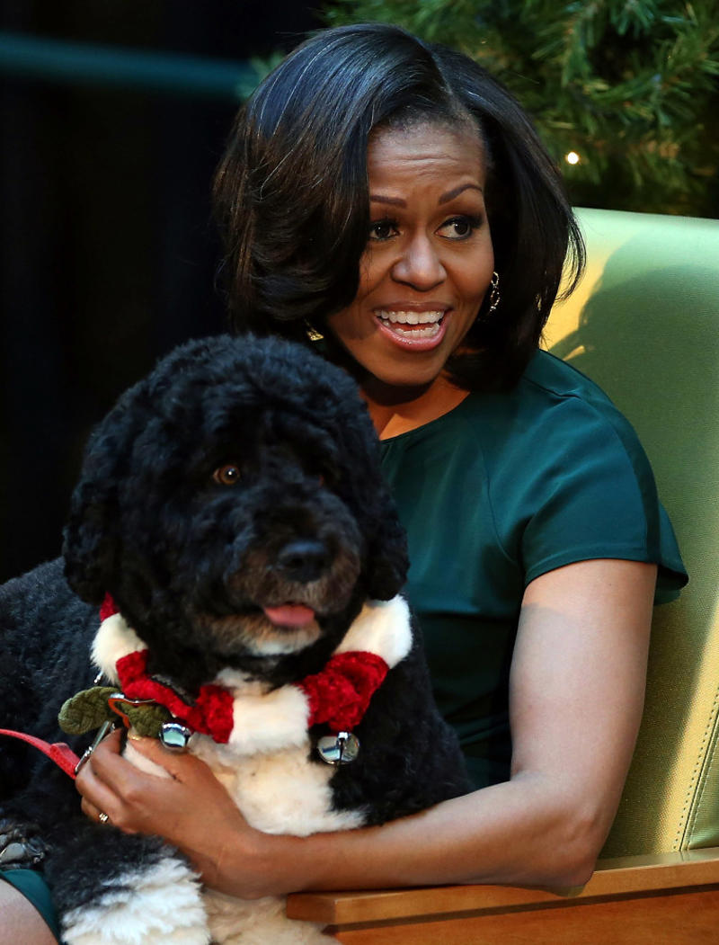 9/11 Canine Rescue Team, Bo Obama, Beethoven, Rin Tin Tin, Scooby-Doo