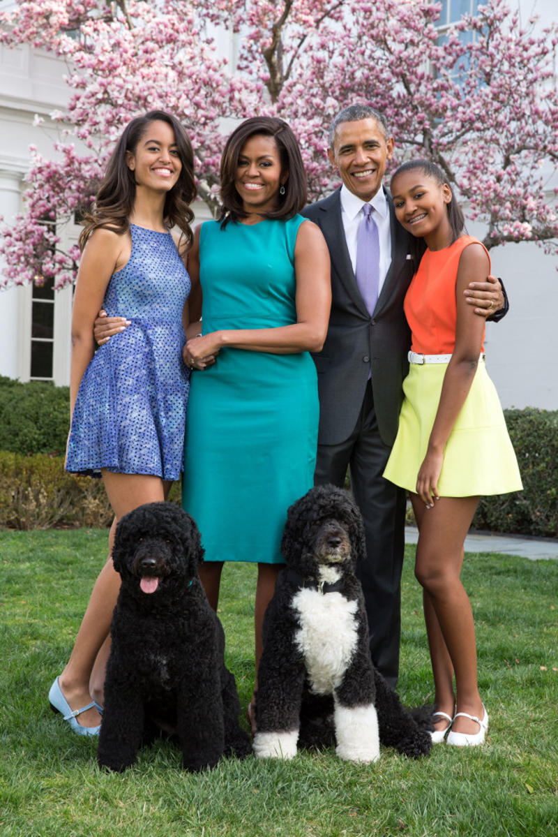 9/11 Canine Rescue Team, Bo Obama, Beethoven, Rin Tin Tin, Scooby-Doo