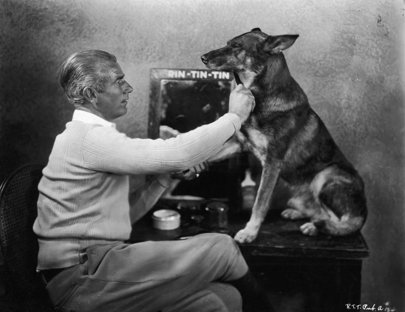 9/11 Canine Rescue Team, Bo Obama, Beethoven, Rin Tin Tin, Scooby-Doo