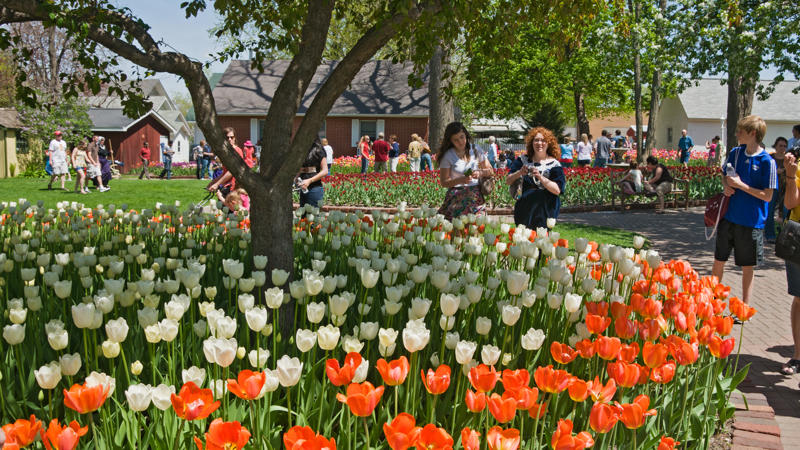 Iowa Hermann, Missouri, Holland, Michigan, Montpelier, Vermont, New Orleans, New Ulm, Minnesota, Pella, Iowa, Santa Barbara, California, St. Augustine, Florida, Tarpon Springs, Florida