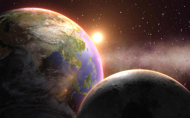 Could Earth Get Hit By Another Asteroid? How Did Laika Prepare for Her Space Travel?, What Was the Plan for Laika's Space Travel?, Laika's Death, Remembering Laika, Animals That Have Been to Space - Rats