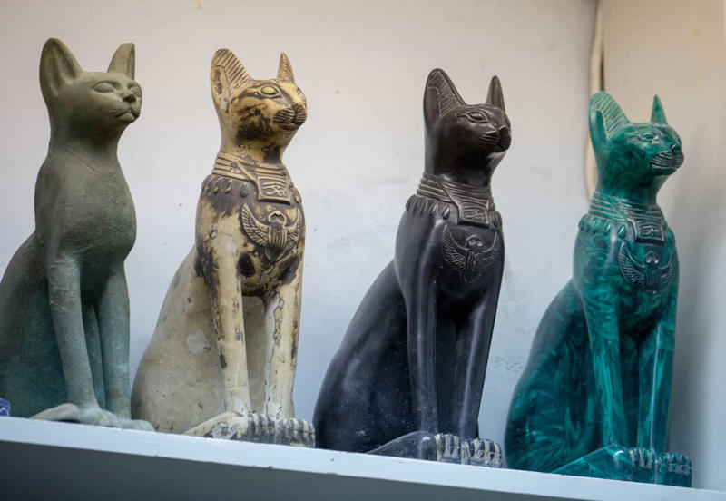 Domestication of cats first occurred in Egypt Cats prefer food to people, Purring just means they’re happy, Cats can be dangerous for babies, All cats love catnip, Cats love milk, Cats are nocturnal creatures, They use their whiskers for balance, Color and personality, Cats sleep a lot because they’re lazy, Stray cats and feral cats are the same thing, Indoor cats are unlikely to get sick, Domestication of cats first occurred in Egypt, Cats like to be fed like dogs, Cats are fine with a vegetarian diet, Cats are colorblind, Cats are smarter than dogs