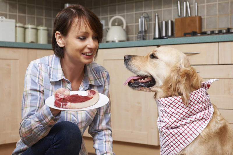 Not human! Before you get a dog, Walk around, Exercise, Education, Not human!, Consistency, Stimulator, Keep on going, The leash