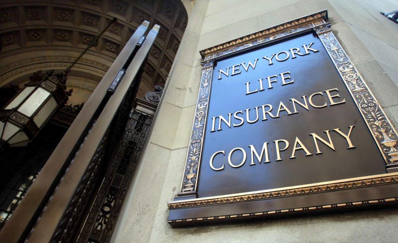 Insurance jobs Tax examiners, Politicians, Dentists, Real estate agents, Car mechanics, Stock traders, School principals, Used car salesmen, TV news anchors/journalists, Insurance jobs, Traffic wardens, Customer care executives, Landlords