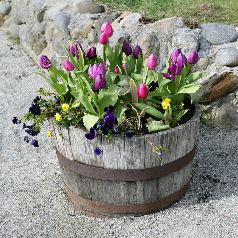 1) Make Them Waist Height, 3) Carve a Path, 4) Add Grid Wiring, 5) Use Brick, 10) Build in Steps, 11) Spring for Stone, 13) Choose Colorful Planters, 16) Make Your Own Meadow, 19) Opt for a Bucket, 20) Try Square Foot Gardening, 21) Surround a Shed, 22) Mix the Materials, 23) Work the Angles, 25) Tier the Planters, 26) Incorporate Scenic Pathways, 27) Mix and Match Your Vessels, 28) Think Outside the Box, 29) Automate Your Chores, 30) Add a Bit of Quirk