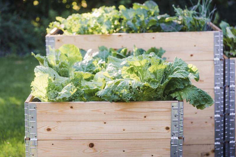 1) Make Them Waist Height, 3) Carve a Path, 4) Add Grid Wiring, 5) Use Brick, 10) Build in Steps, 11) Spring for Stone, 13) Choose Colorful Planters, 16) Make Your Own Meadow, 19) Opt for a Bucket, 20) Try Square Foot Gardening, 21) Surround a Shed, 22) Mix the Materials, 23) Work the Angles, 25) Tier the Planters, 26) Incorporate Scenic Pathways, 27) Mix and Match Your Vessels, 28) Think Outside the Box, 29) Automate Your Chores, 30) Add a Bit of Quirk