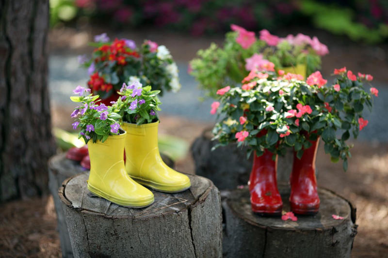 13) Plant: Olive Tree, 19) Plant: Impatiens, 25) Idea: Recycled Rain Boot Planters, 27) Idea: Tiny Teapot Planter, 29) Plant: Petunias, 30) Idea: Spiller, Thriller, Filler, 31) Plant: Sweet Alyssum, 33) Plant: Canna Lily, 36) Plant: Calibrachoa, 38) Idea: Cactus and Succulent Garden, 39) Idea: Multiple Pots in the Same Color, 40) Idea: Ladder Container Garden, 42) Idea: Terra Cotta Edible Garden, 45) Plant: Sweet Potato Vine, 47) Idea: Lush Hanging Baskets, 49) Plant: Chili Pepper, 50) Plant: Euphorbia, 51) Idea: Bicycle Planter, 52) Plant: Angelonia, 53) Idea: Stacked Boxes, 54) Plant: Coleus, 55) Plant: Nemesia